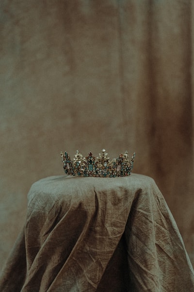 白色和黄色的花在棕色的纺织品
